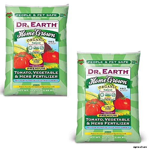 How to Plant & Grow Asparagus: Complete Guide