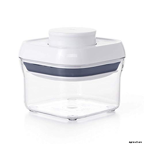 How to Plant & Grow Basil Indoors or Outdoors: Complete Guide