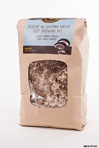 How to Plant & Grow Mushrooms: Complete Guide