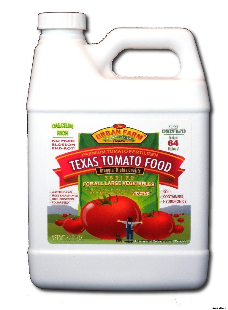 How to Plant & Grow Tomatoes: Complete Guide