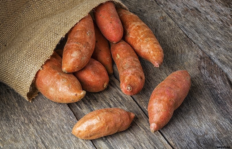 How to Plant & Grow Sweet Potatoes: Complete Guide