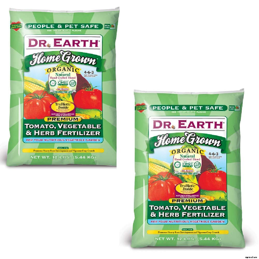 How to Plant & Grow Carrots: Complete Guide