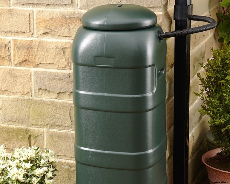 Garden diseases - Geranium blackleg