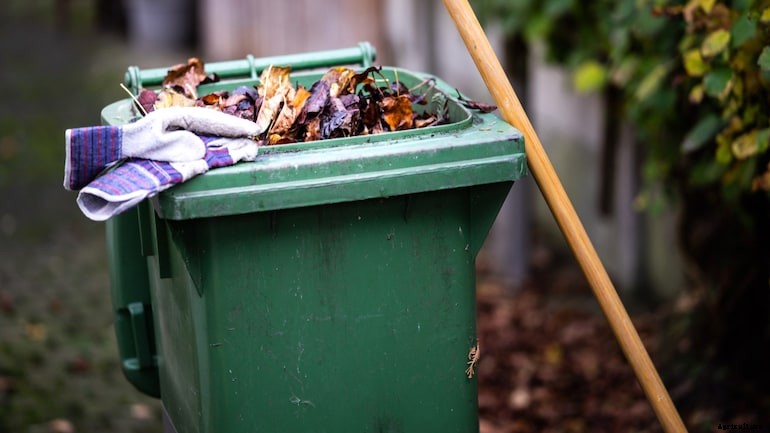 Garden diseases - Leaf spot