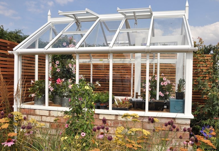 Garden diseases - Leaf spot