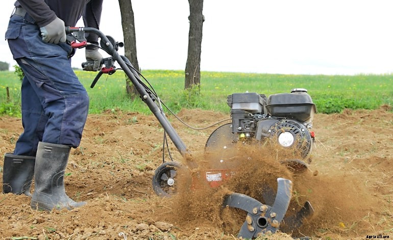 Garden diseases - Potato and tomato blight