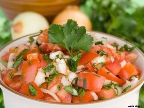 Growing Mustard Greens