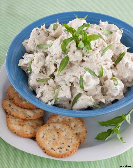 Growing Mexican Tarragon