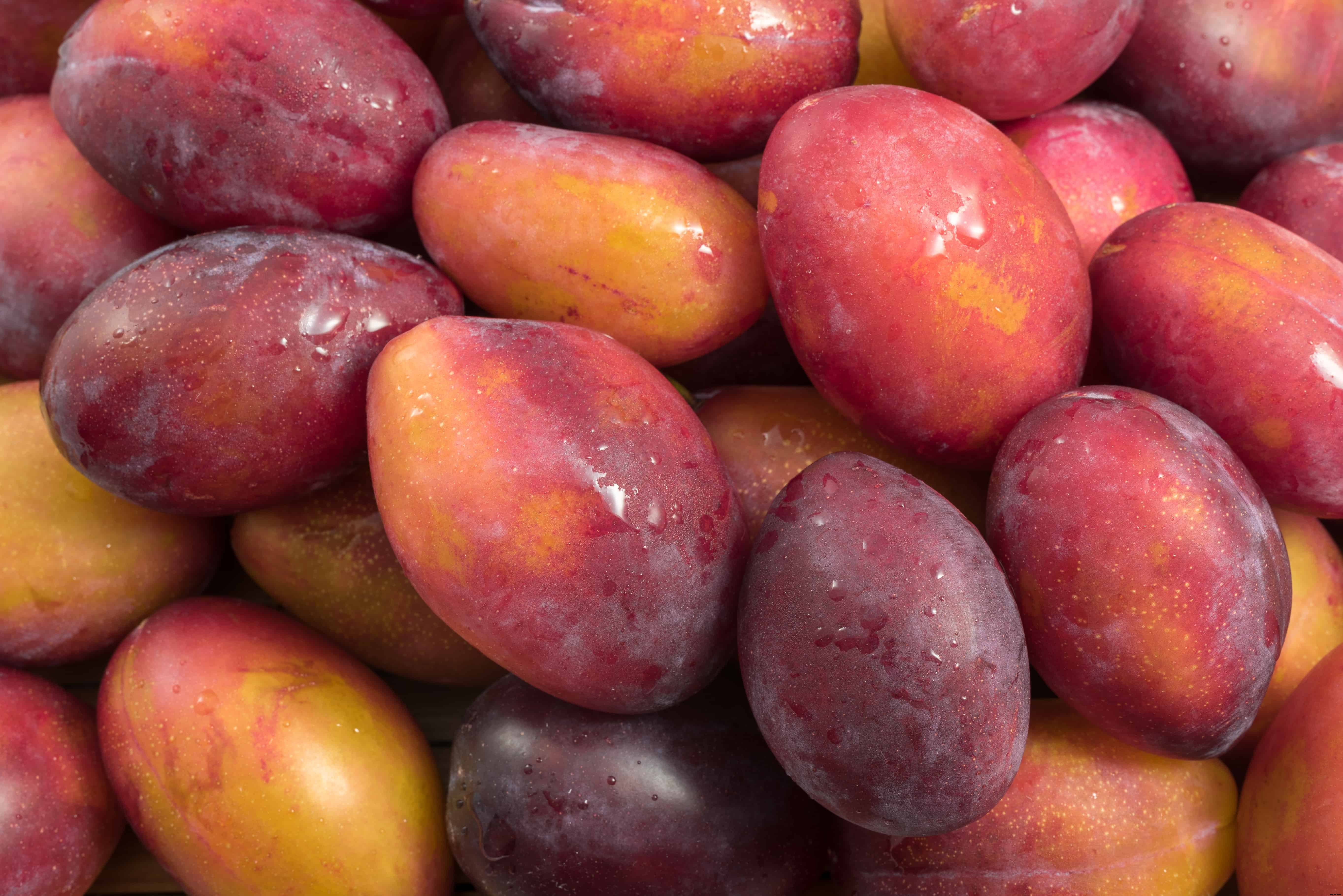 How to Plant, Grow, Prune, and Harvest Plums