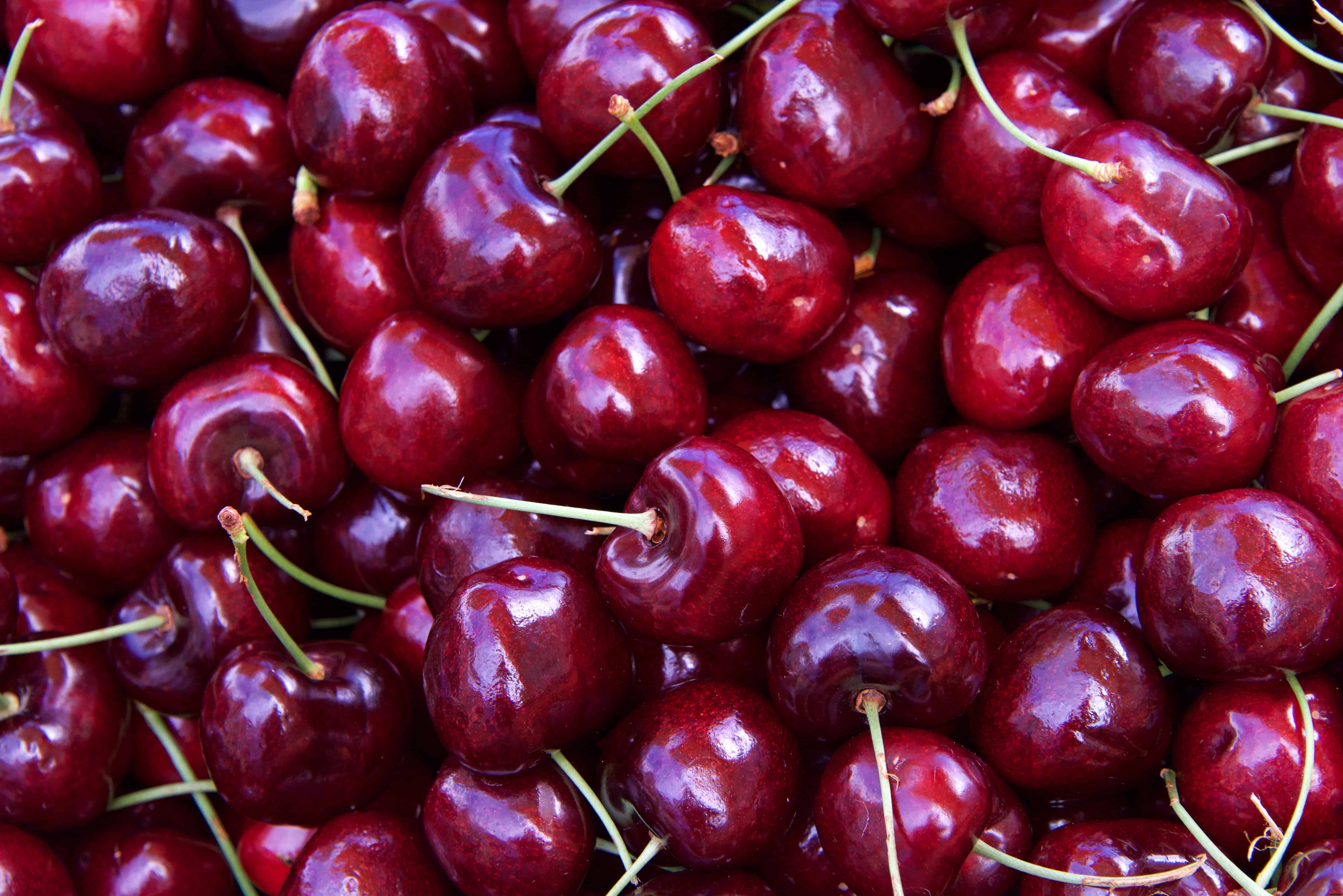 How to Plant, Grow, Prune, and Harvest Cherries