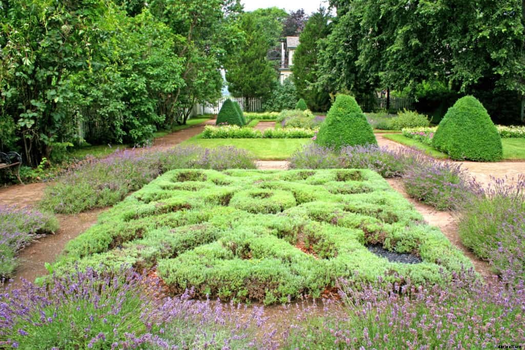 How to Start an Herb Garden