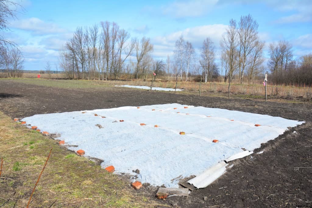 Pre-Warm Cold Soil Before Planting Vegetables