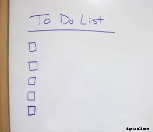 Vegetable Garden 12-Month To-Do Calendar