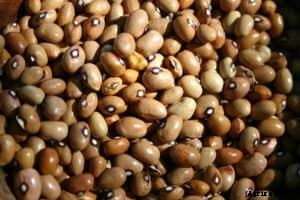 How to Grow Southern Peas