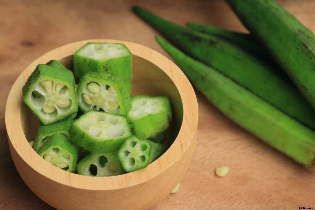 How to Grow Okra