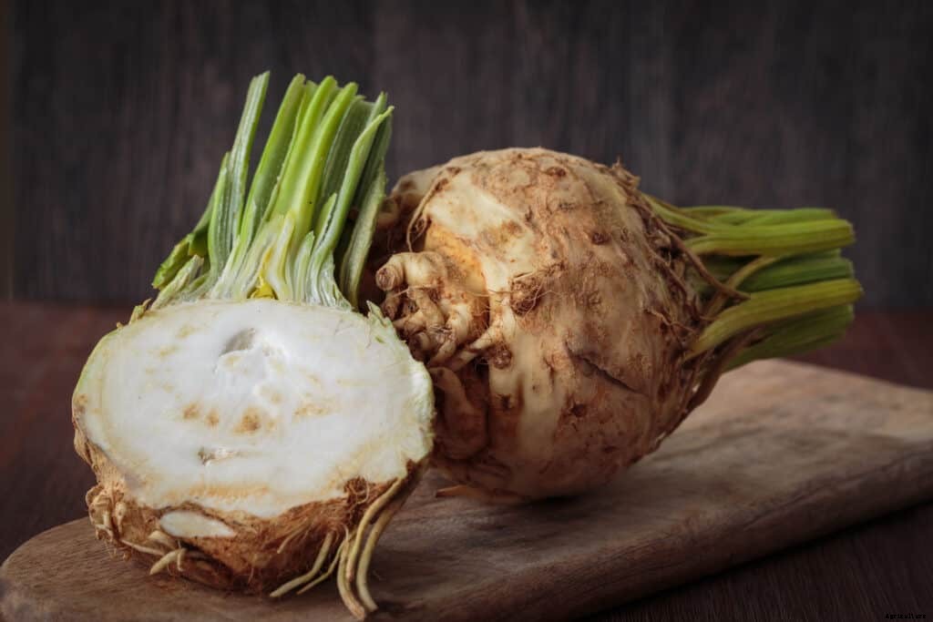How to Grow Celeriac