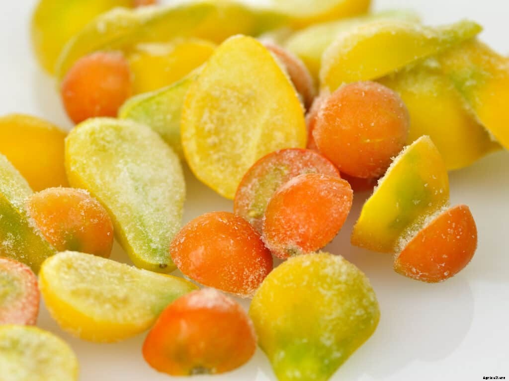 How to Grow Tomatoes