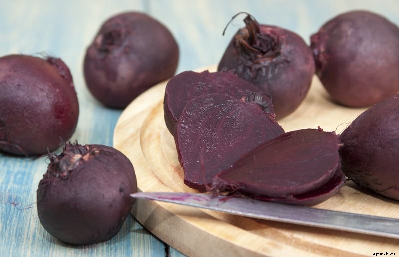 How to Grow Beets
