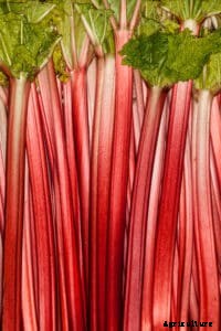 How to Grow Rhubarb
