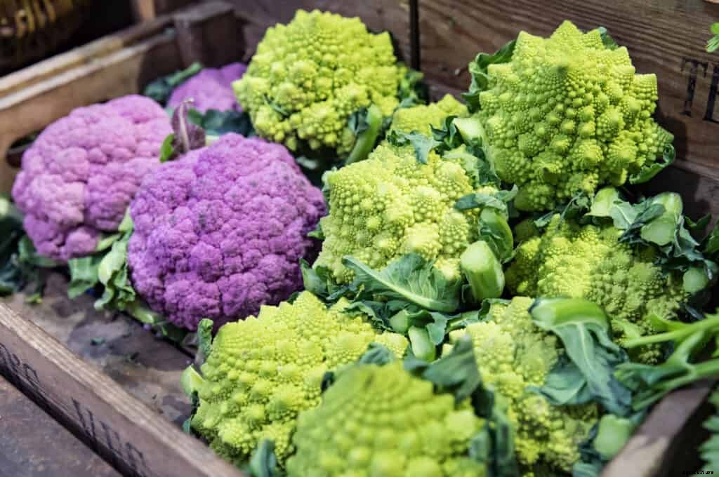 How to Grow Cauliflower