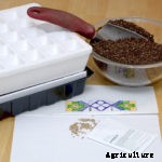 Seed Planting Times