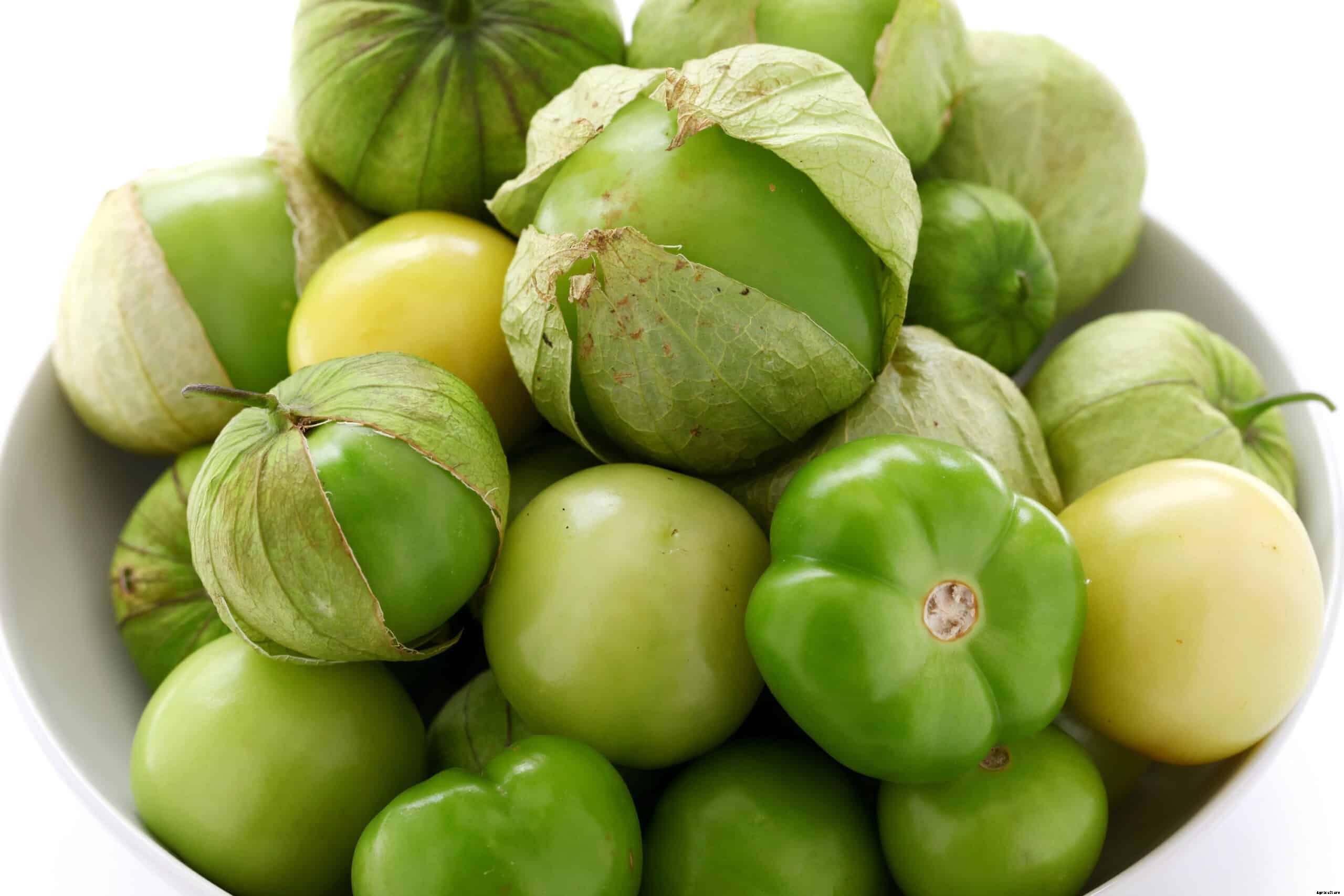 How to Harvest and Store Tomatillos