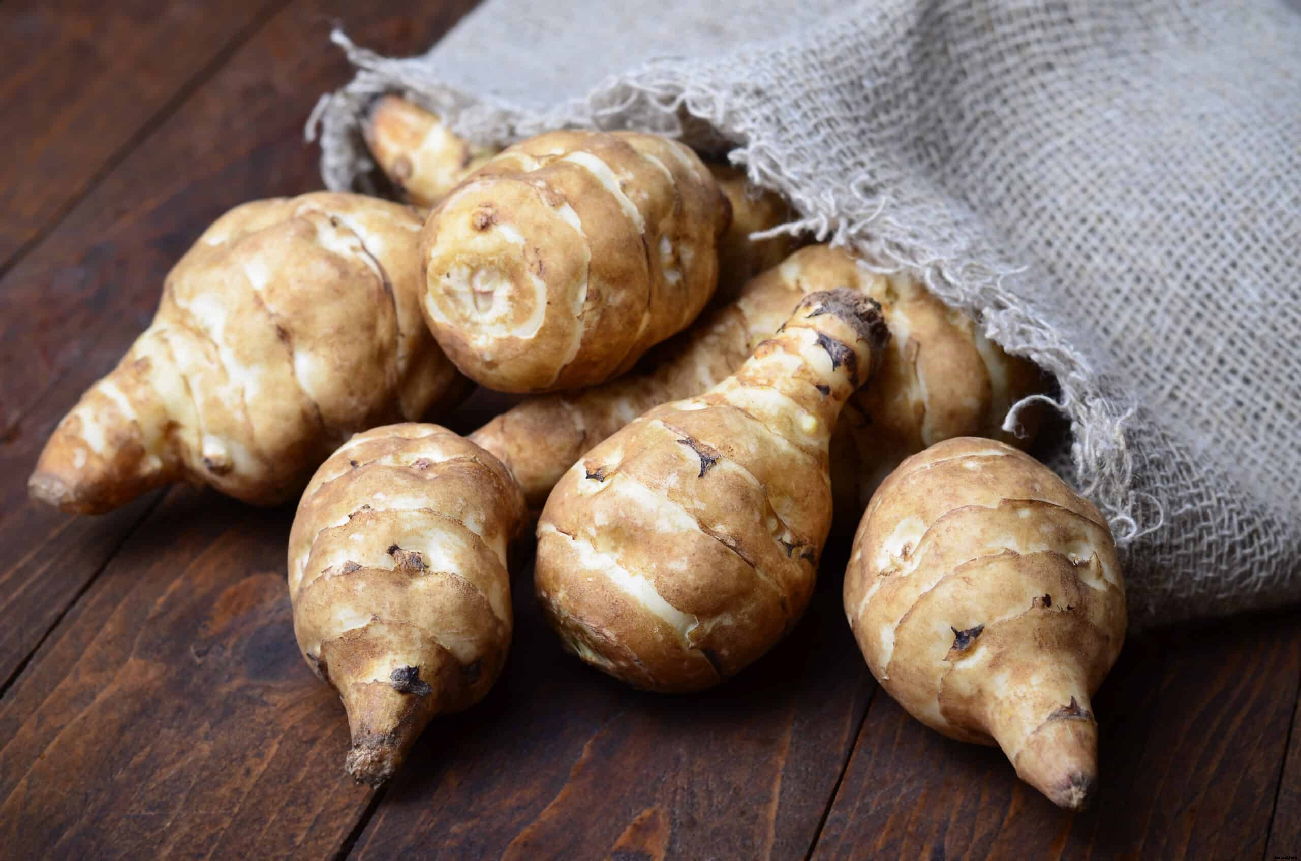 How to Harvest and Store Jerusalem Artichokes
