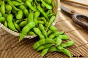Vegetable Harvest Times