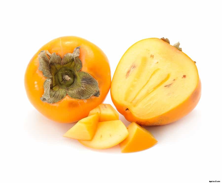 Persimmons: Kitchen Basics