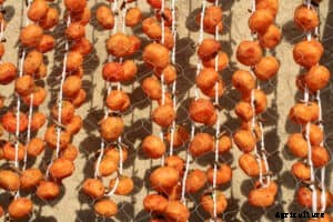 Persimmons: Kitchen Basics