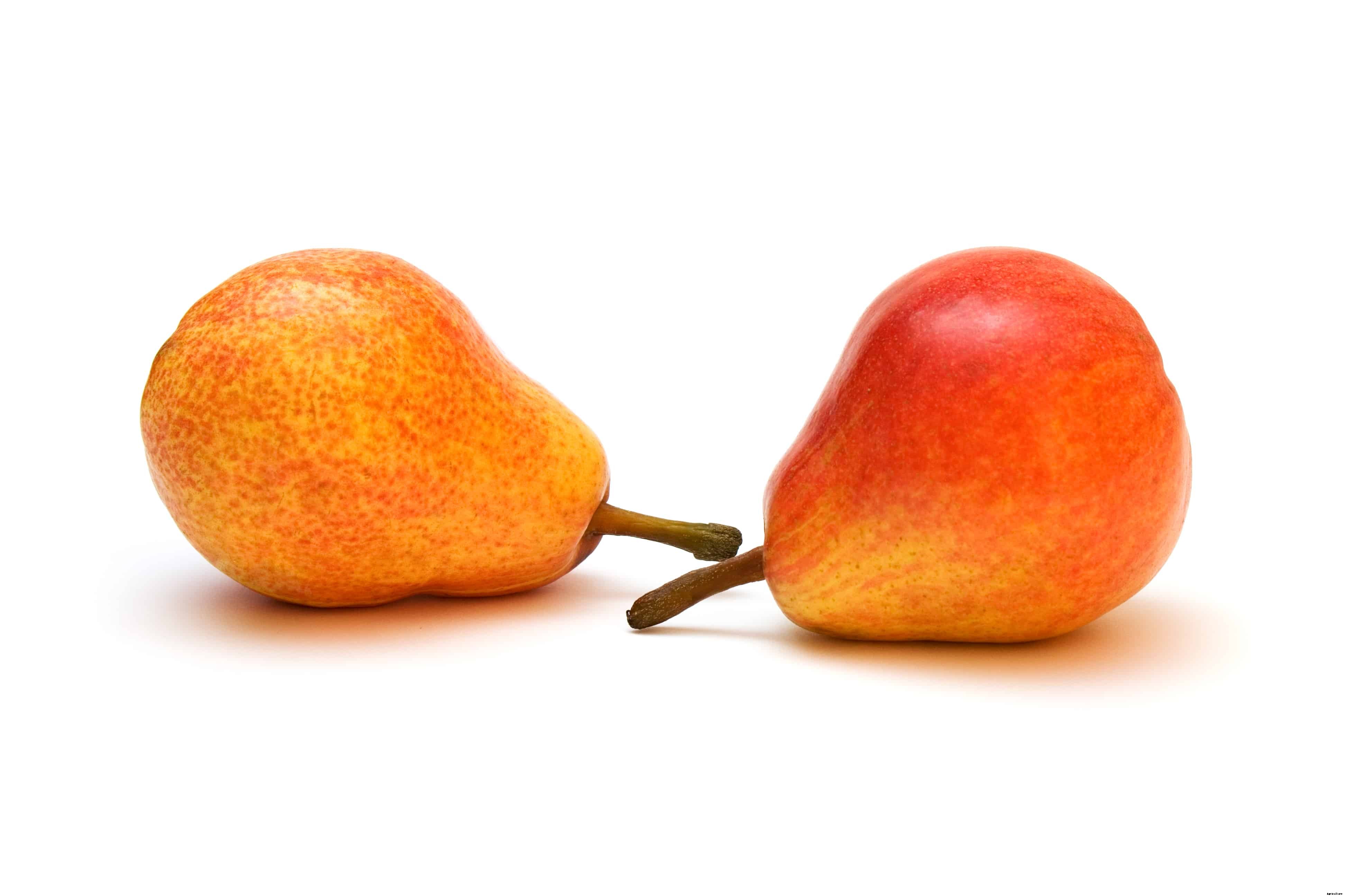 Pears: Kitchen Basics