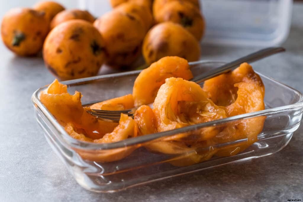 How to Grow Loquats