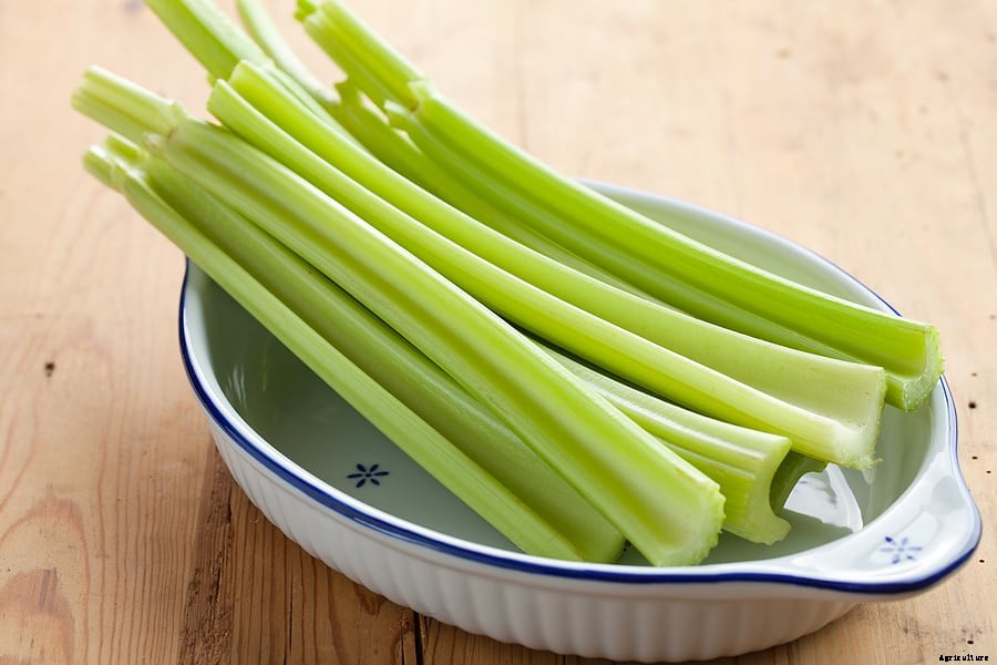 How to Harvest and Store Celery