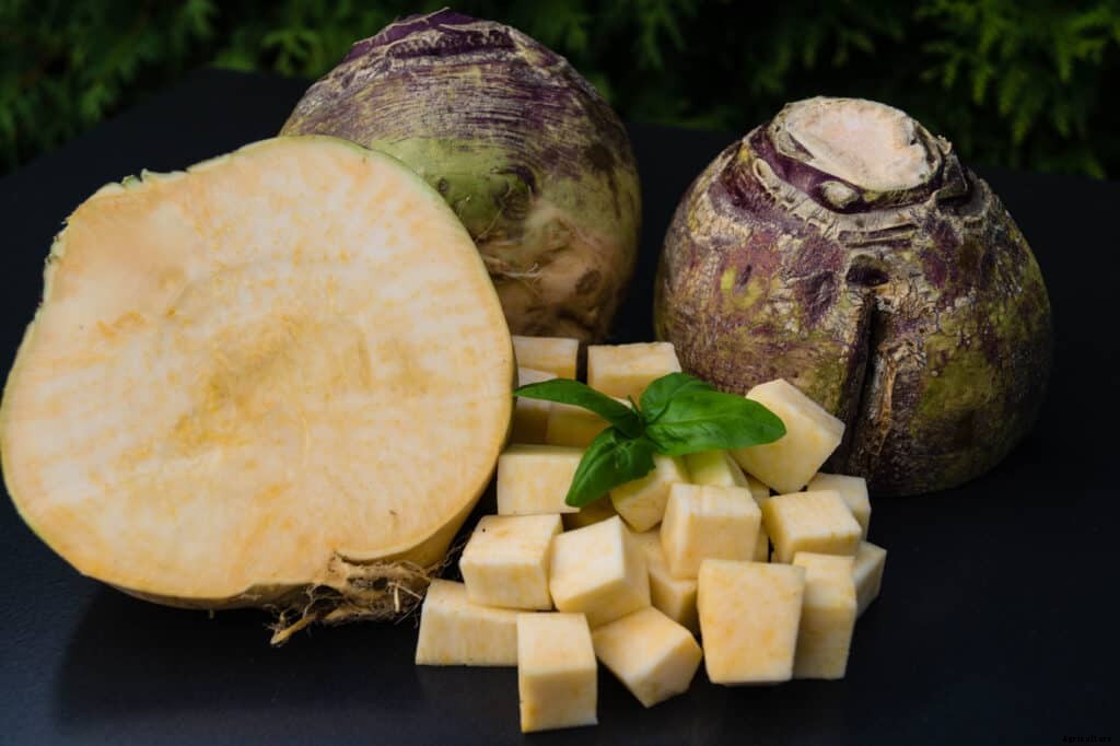 How to Harvest and Store Rutabagas