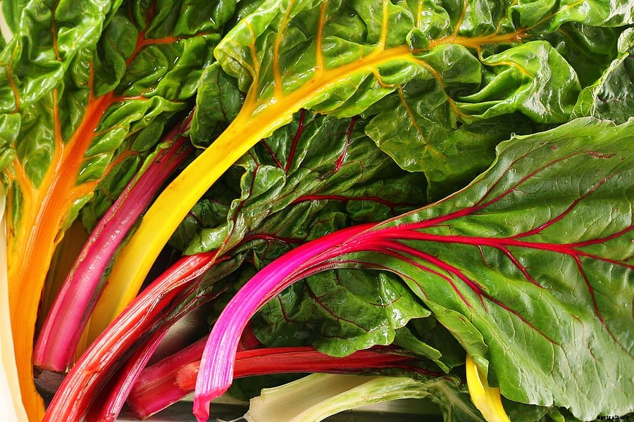 How to Harvest and Store Swiss Chard