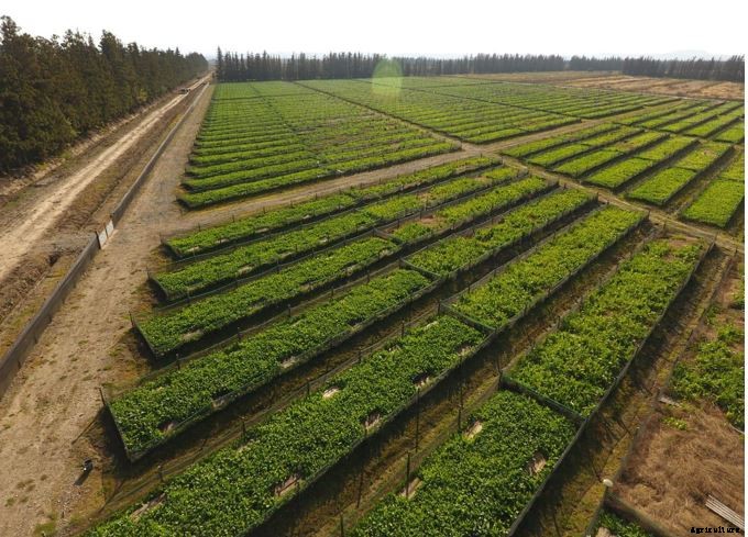 Site Selection For Snail Farming