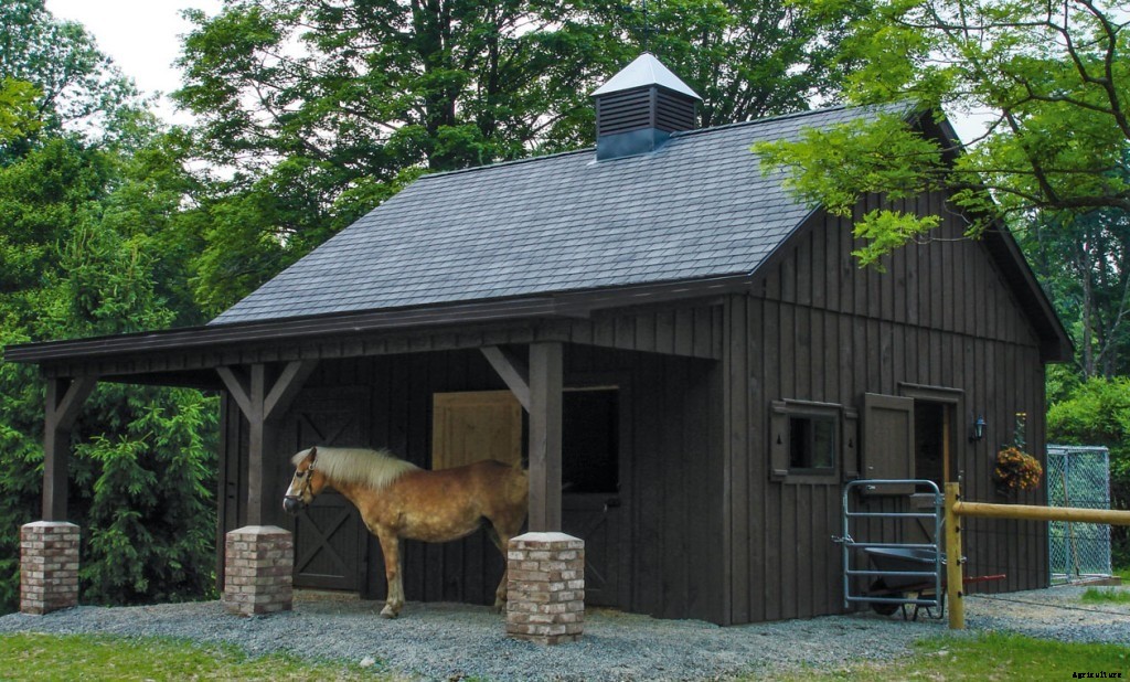 How To Build A Horse Barn On A Budget