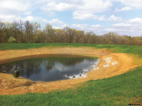 Catfish Site Selection