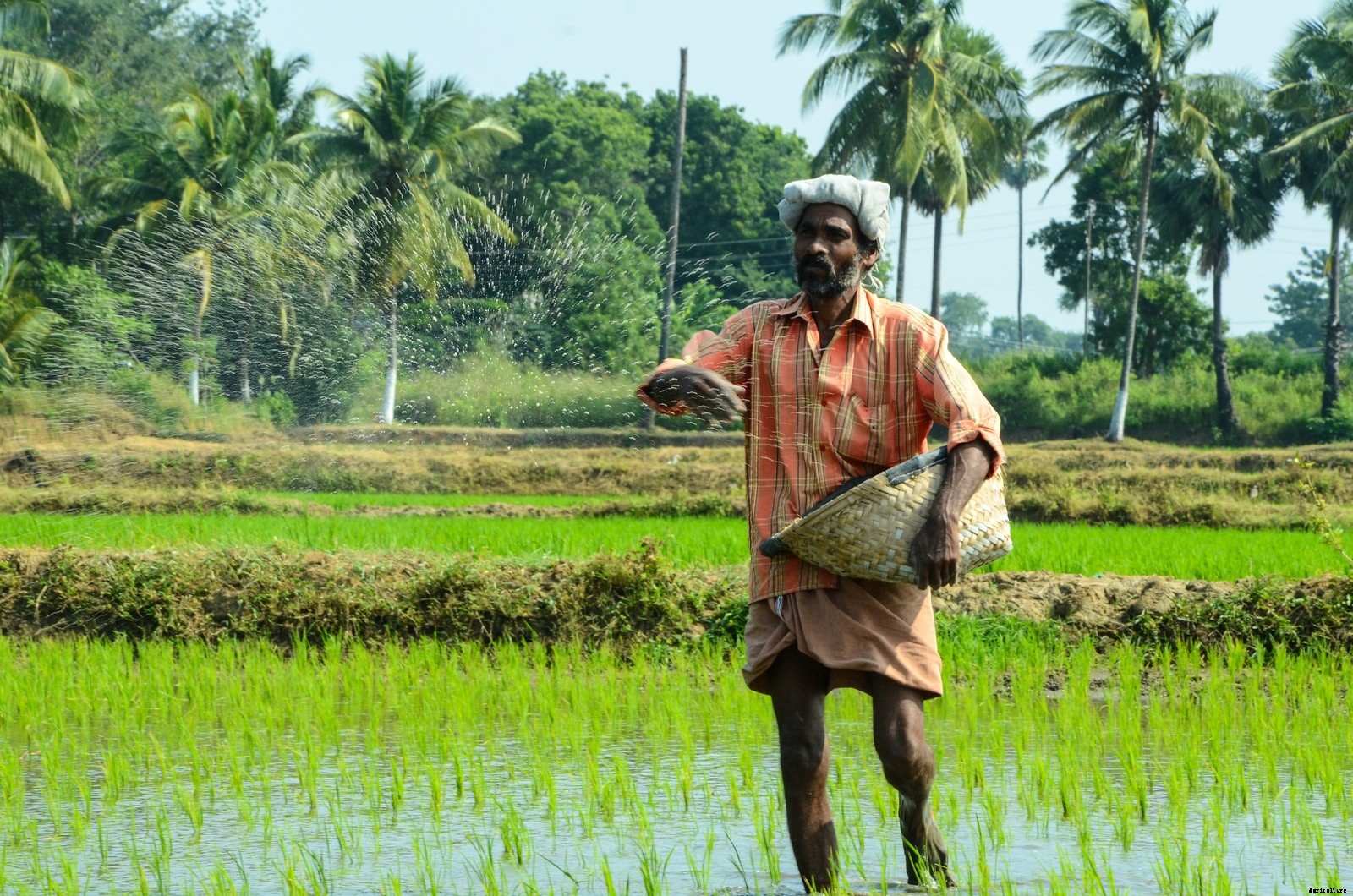 17 excellent opportunities for Indian Agriculture Entrepreneurs