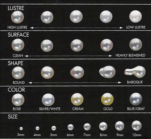 Profitable Pearl (Moti) Farming; Guide & Tips for Beginners