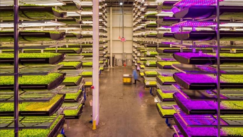 The Modern Trend of Farming: Vertical Farming