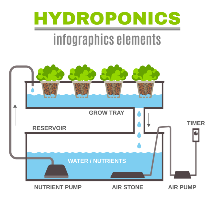 Latest Technique for Farming: Hydroculture or Hydroponics
