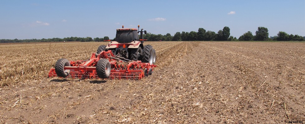 Sunflower Farming: A Simple Guide To Growing Sunflower | Profit