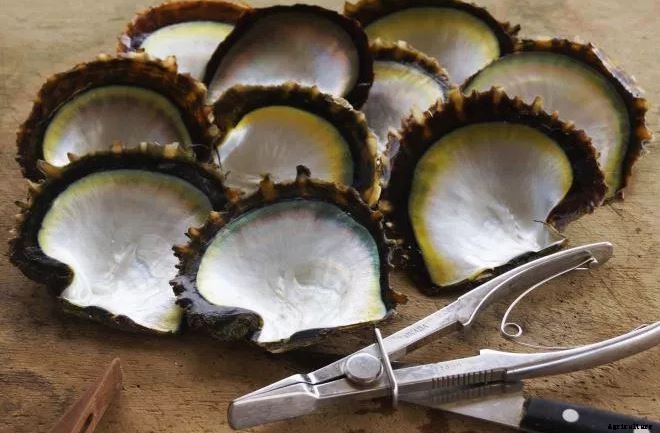 Cost and returns in the Pearl(Moti) Farming: Project report