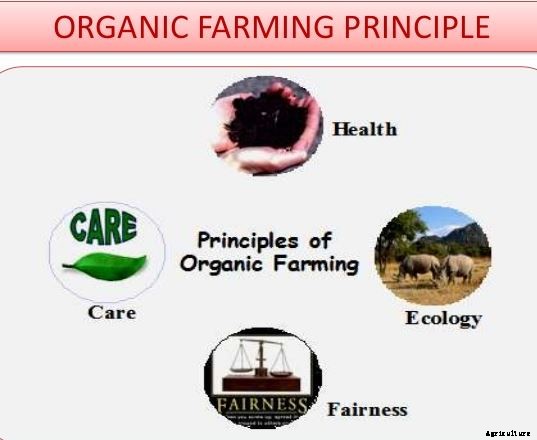 Organic Farming; Method, Advantages & Negatives Aspects