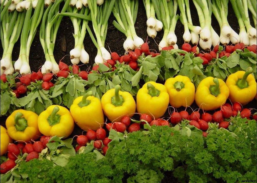 Organic Farming; Method, Advantages & Negatives Aspects