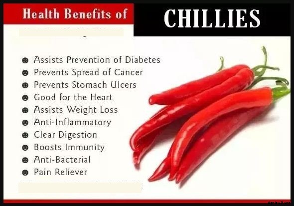 Chilli Farming & Cultivation Process With Business Plan