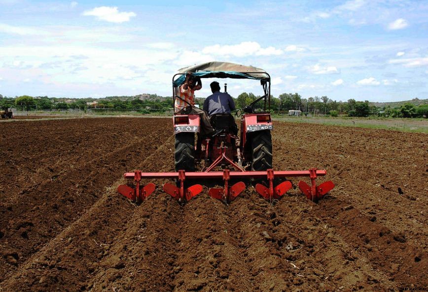 Chilli Farming & Cultivation Process With Business Plan