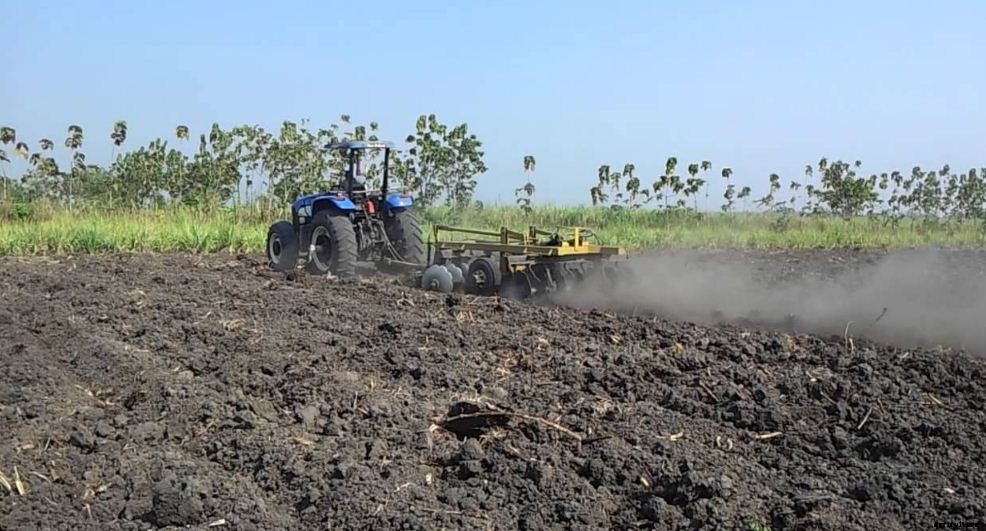 Sugarcane Farming Process & Plant Cultivation|Breeding Institute List