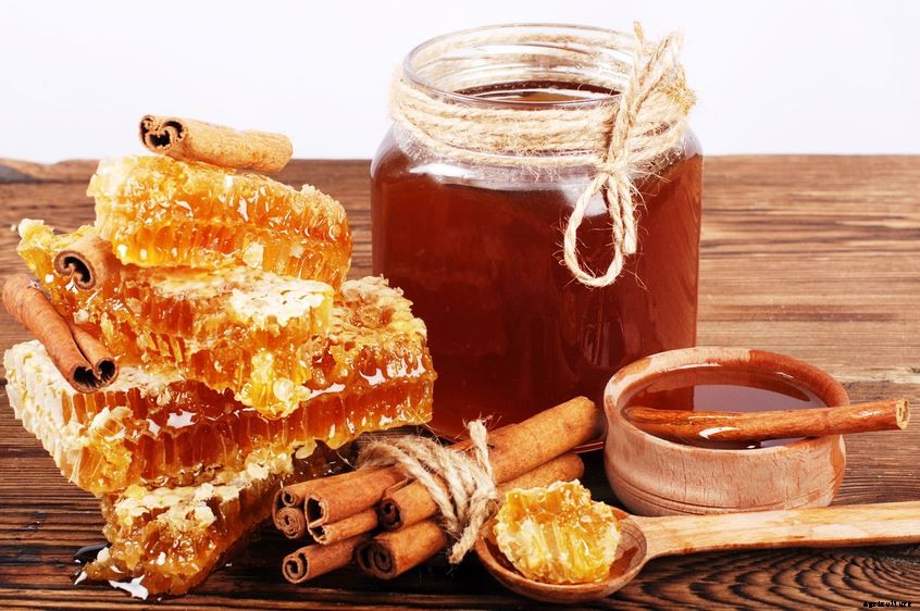 How To Start Commercial Honey Bee Farming Business In India